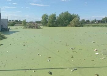 Investigan relleno de cuerpo de agua natural en Nuevo Laredo, Tamaulipas