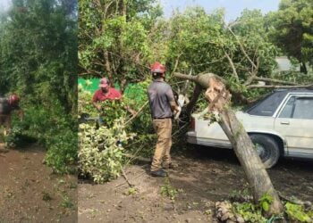 Lluvias intensas acompañadas de granizo causan daños en General Terán, Nuevo León