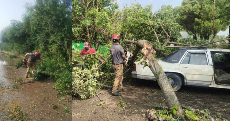Lluvias intensas acompañadas de granizo causan daños en General Terán, Nuevo León