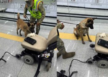Marina asegura droga escondida en silla de ruedas en el AICM de Ciudad de México