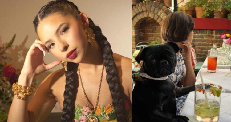 Muere Chancho, el perrito de la familia de Ángela Aguilar