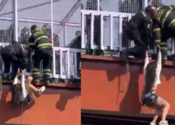 Mujer cae a vías del Metro desde puente peatonal en Ciudad de México