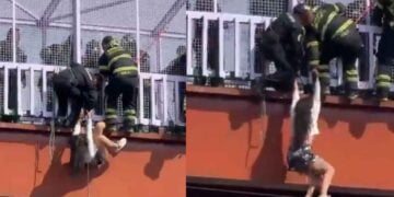 Mujer cae a vías del Metro desde puente peatonal en Ciudad de México