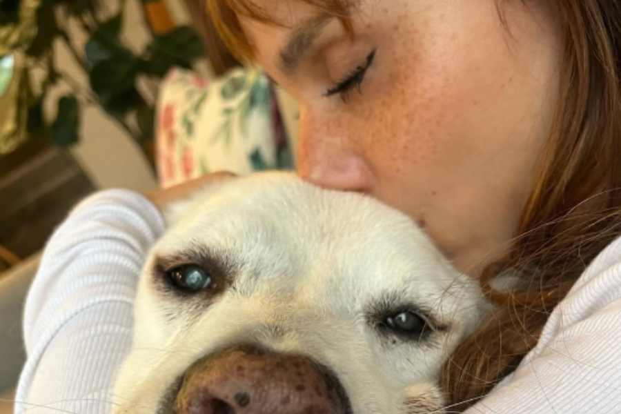 Natalia Téllez rompe en llanto al contar la historia de un perrito que busca hogar