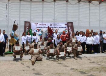 Participan CEDES Matamoros y Altamira en convocatoria nacional de elaboración de alebrijes mundialistas