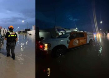 Protección Civil atiende reportes de autos varados y árboles caídos tras lluvias en Nuevo León