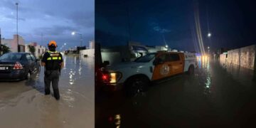 Protección Civil atiende reportes de autos varados y árboles caídos tras lluvias en Nuevo León