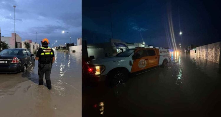 Protección Civil atiende reportes de autos varados y árboles caídos tras lluvias en Nuevo León