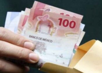 STPS pago de utilidades
