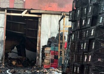 Se reaviva incendio en bodega de cartón y madera en Iztapalapa, Ciudad de México