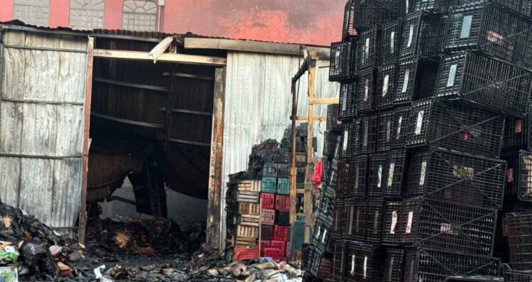 Se reaviva incendio en bodega de cartón y madera en Iztapalapa, Ciudad de México
