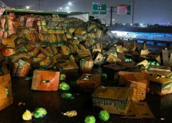 Tráiler cargado con lechugas sufre volcadura y bloquea carriles en Santa Catarina, NL