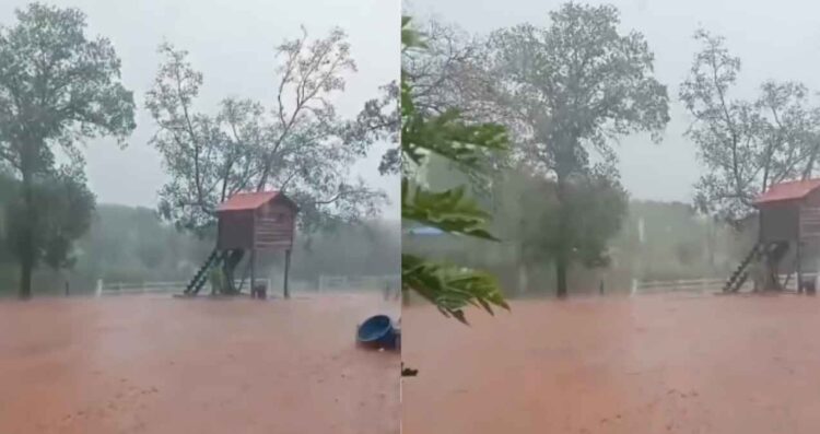 VIDEO | Lluvias fuertes sorprenden a habitantes de Aldama, Tamaulipas