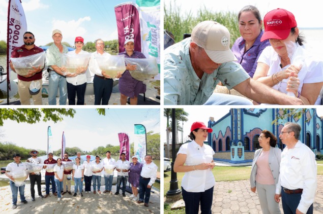 Tampico repoblación de lobina