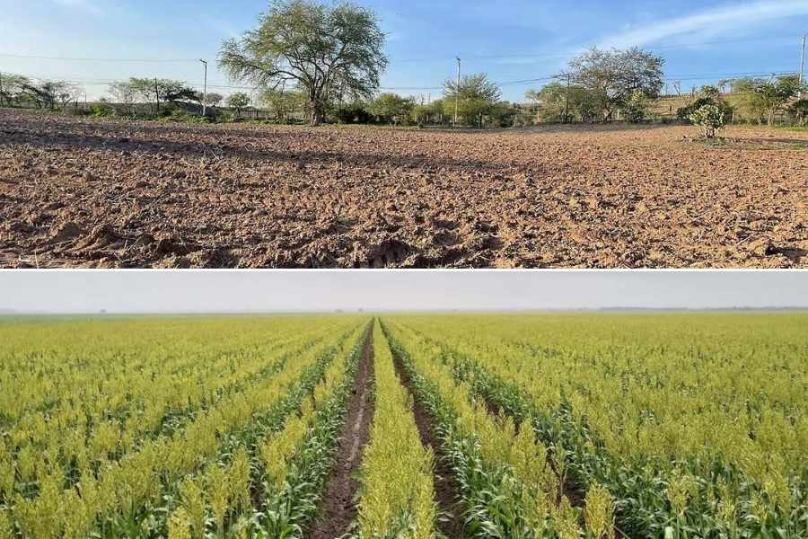 apoyo por sequía en Matamoros