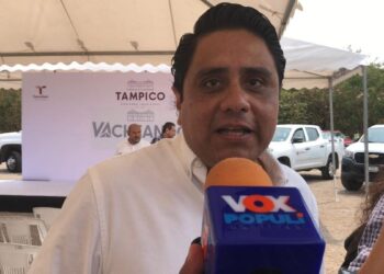 apoyos alimentarios Bienestar Tampico