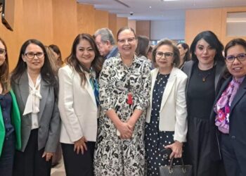 ASF auditorías integrales