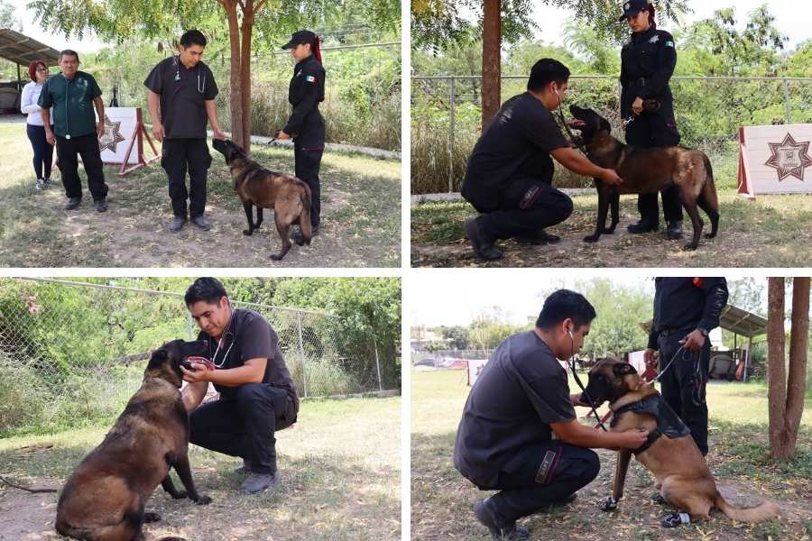 binomios caninos Guardia Estatal