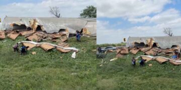 camión cargado de pepinos en Matamoros