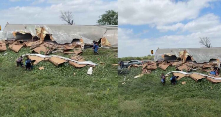 camión cargado de pepinos en Matamoros