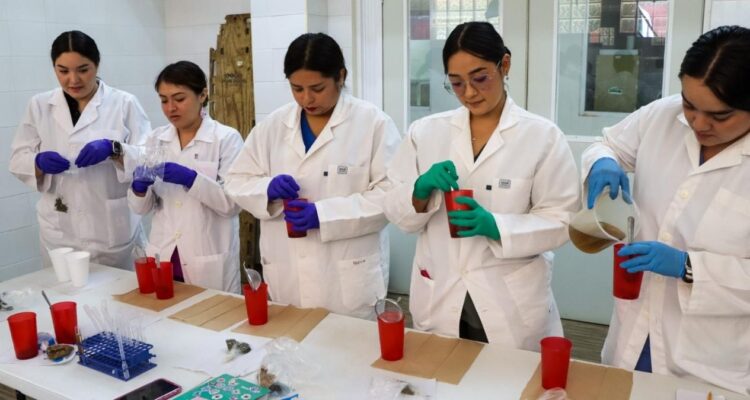 capacitación veterinaria en Zoológico Tamatán