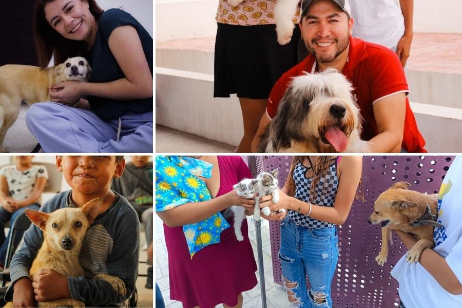 cuidado responsable de las mascotas Tamaulipas