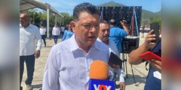 declaraciones diputado Partido verde