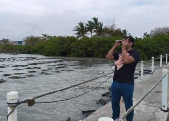 desarrollo acuícola Soto la Marina