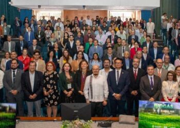 desarrollo de combustibles alternativos Tamaulipas