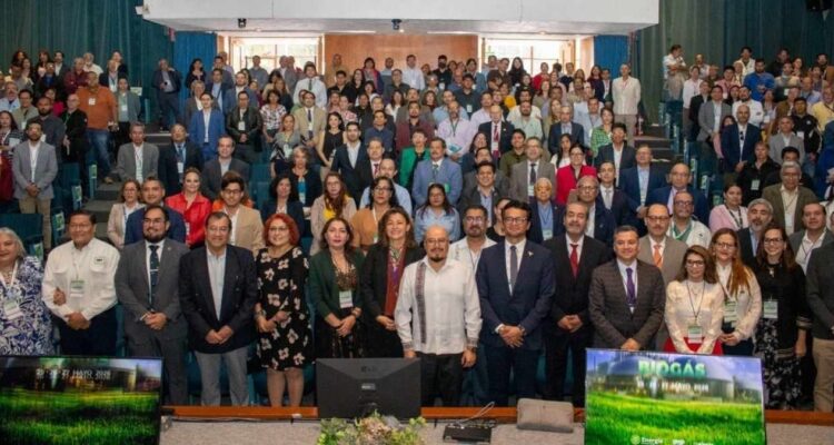 desarrollo de combustibles alternativos Tamaulipas