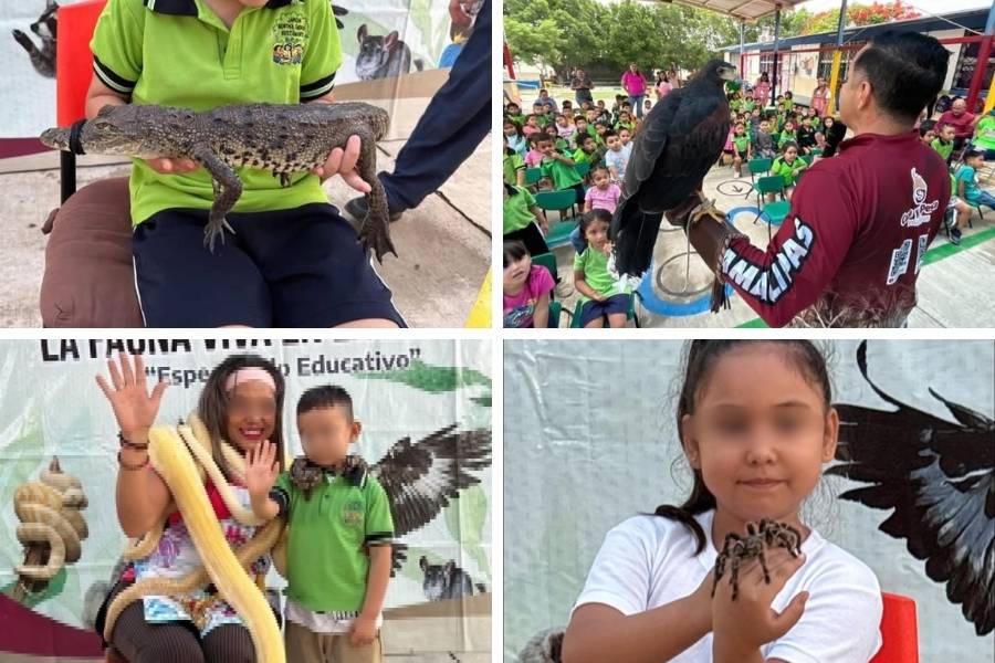 educación ambiental en escuelas de Tamaulipas