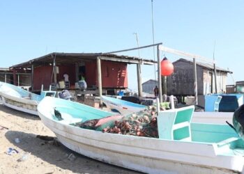 entrega de tarjetas Bienpesca Tamaulipas