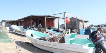 entrega de tarjetas Bienpesca Tamaulipas