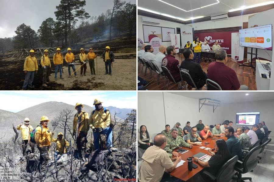 estrategia incendios forestales Tamaulipas