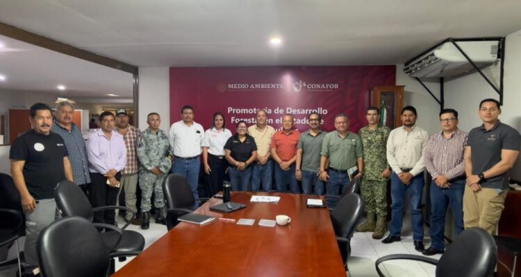 estrategia incendios forestales Tamaulipas
