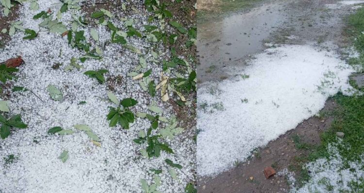ejido Ávila y Urbina granizo