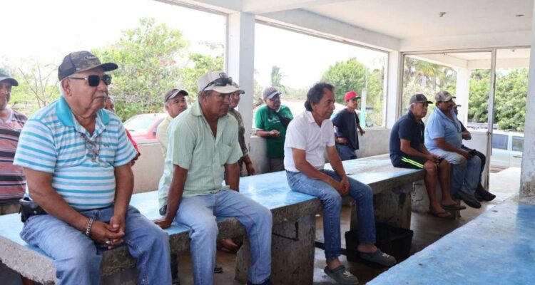 granjas de ostión en Aldama