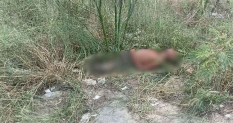 hombre maleza en Río Bravo