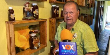importancia de las abejas