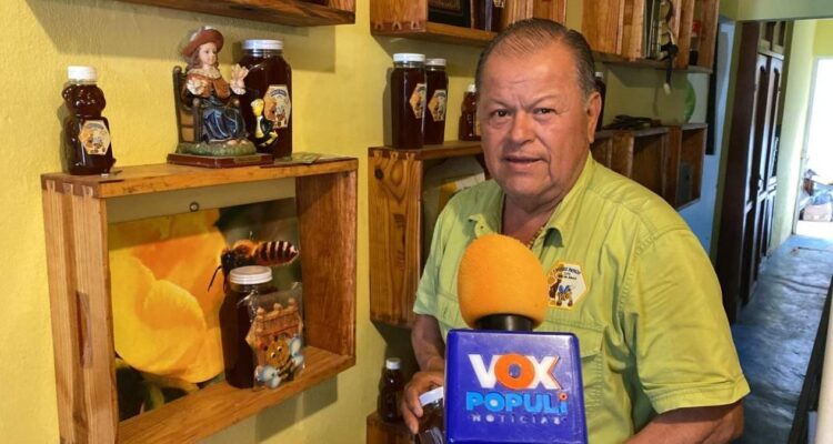 importancia de las abejas