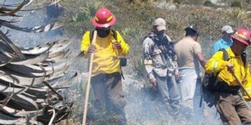incendio forestal en mayo Miquihuana