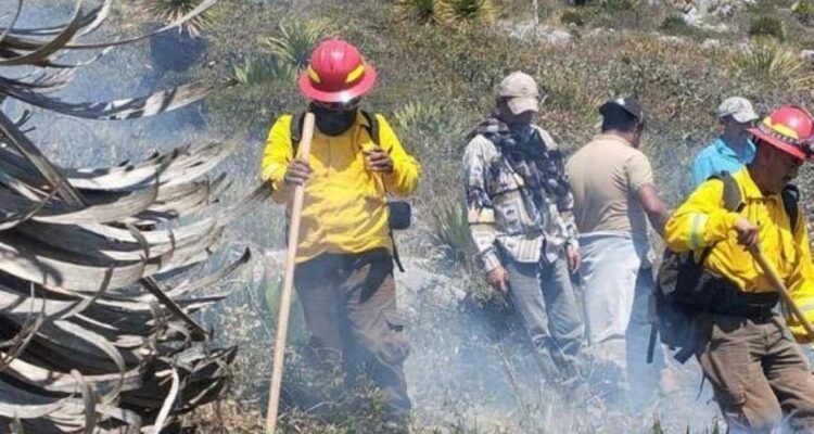 incendio forestal en mayo Miquihuana