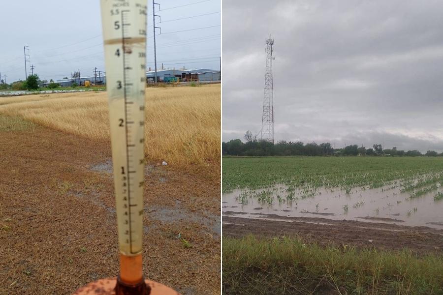 lluvias campo del norte de Tamaulipas