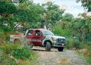 Abuelo y nieto extraviados en Victoria