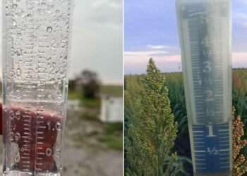 parcelas agrícolas del norte de Tamaulipas