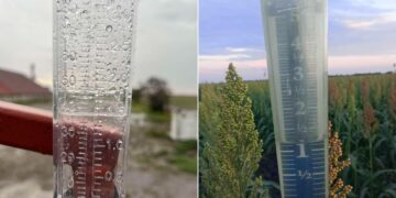 parcelas agrícolas del norte de Tamaulipas