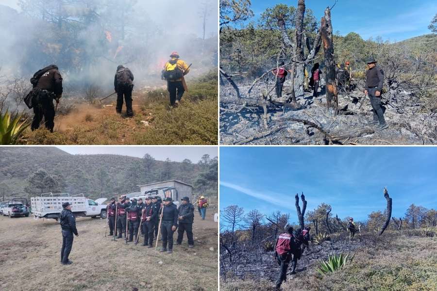 Plan Tamaulipas en Miquihuana