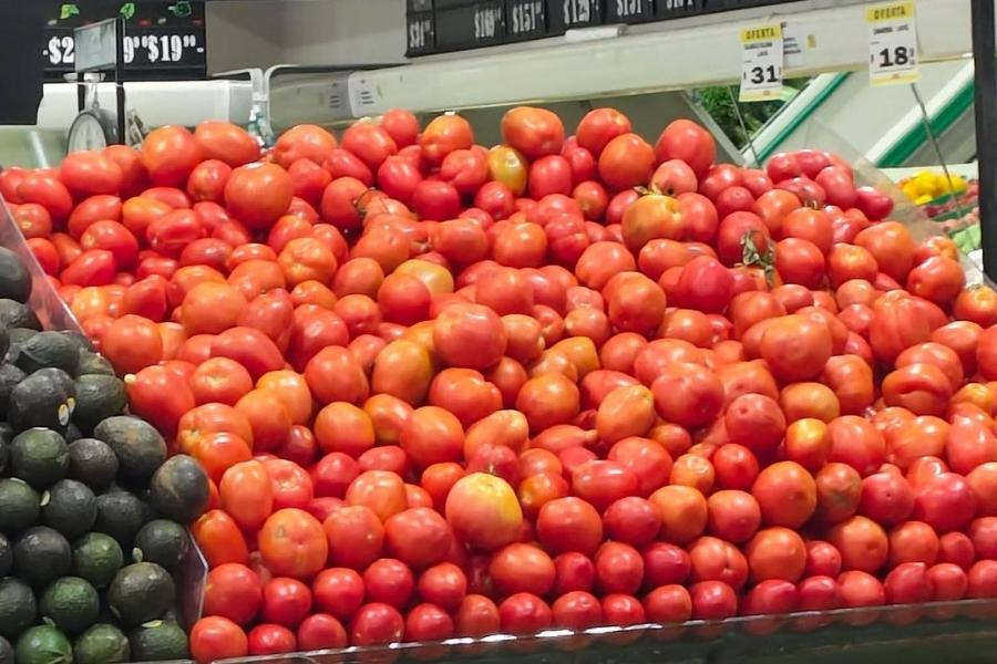 precio del jitomate en México