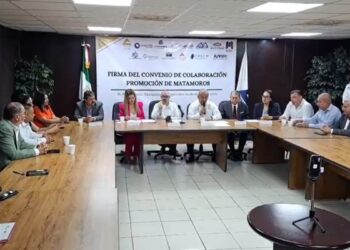 proyectos desarrollo Matamoros