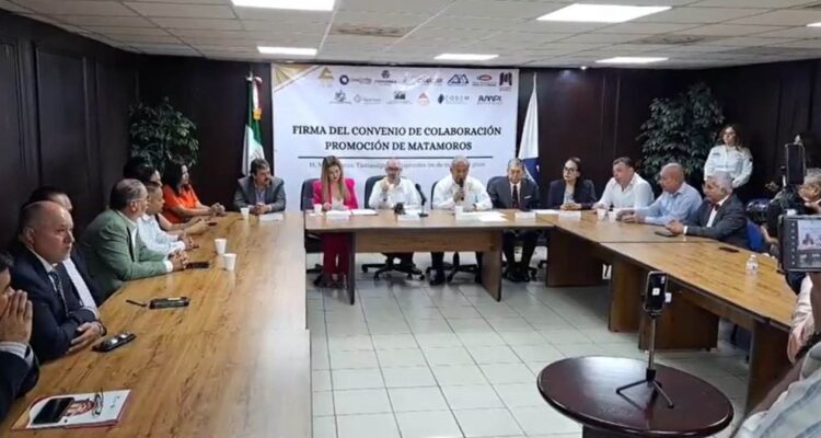 proyectos desarrollo Matamoros